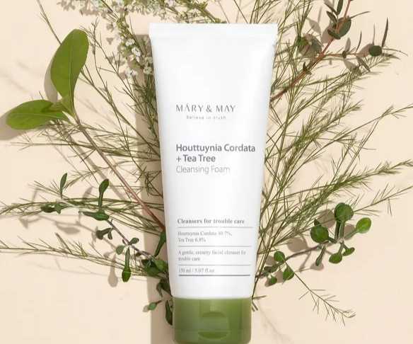 MARY & MAY- houttuynia cordata+ tea tree cleansing foam 150ml